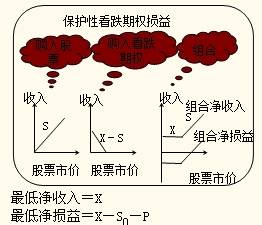 保護性看跌期權