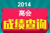 高級會計師成績查詢時間