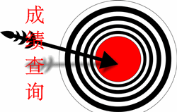 高級(jí)會(huì)計(jì)師成績(jī)查詢時(shí)間