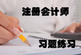 注冊會計師練習(xí)題