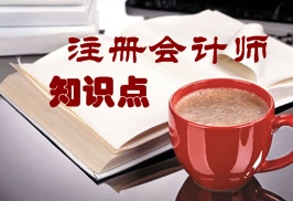 注冊會(huì)計(jì)師知識(shí)點(diǎn)