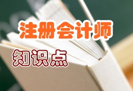 注冊會計師風險管理知識點