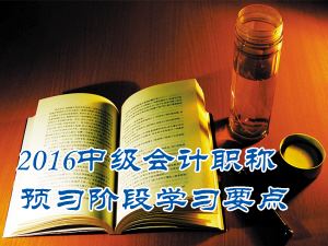 2016中級會計職稱《經(jīng)濟法》預(yù)習(xí)：訴訟