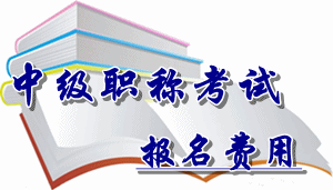 河南省2016年中級(jí)會(huì)計(jì)職稱考試報(bào)名費(fèi)用