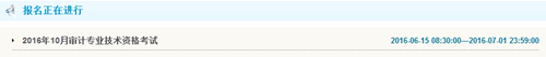 甘肅2016年初級審計師考試報名入口