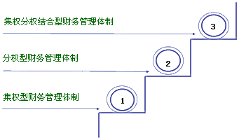 財(cái)務(wù)管理體制的一般模式