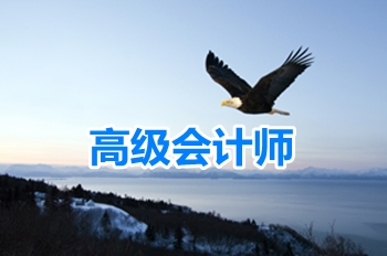 高級會(huì)計(jì)師知識(shí)點(diǎn)問答：內(nèi)部審計(jì)部門和審計(jì)委員會(huì)關(guān)系和職責(zé)