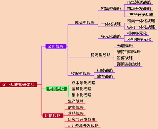 2017高級(jí)會(huì)計(jì)師《高級(jí)會(huì)計(jì)實(shí)務(wù)》預(yù)習(xí)知識(shí)點(diǎn)：企業(yè)戰(zhàn)略管理