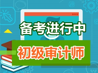 初級審計師《審計理論與實務》知識點