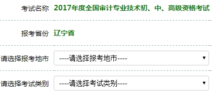 2017年審計(jì)師考試報(bào)名入口開通