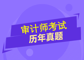 做好這兩套審計師試題 掌握命題規(guī)律和答題技巧