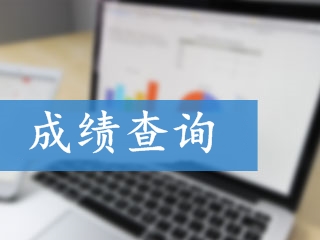 2017年高會(huì)《高級(jí)會(huì)計(jì)實(shí)務(wù)》考試成績(jī)查詢時(shí)間