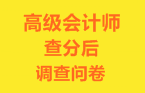 高級會計師查分后調查問卷