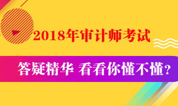 2018中級(jí)審計(jì)師《審計(jì)理論與實(shí)務(wù)》答疑精華