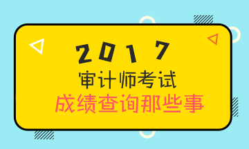 2017年審計(jì)師考試成績(jī)查詢(xún) 你需要知道這些