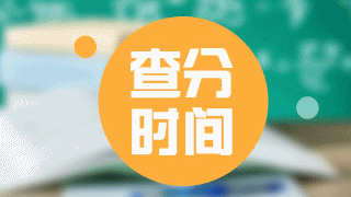 廣東省2017年稅務(wù)師考試成績查詢時間