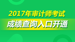 2017年審計(jì)師成績(jī)查詢?nèi)肟? width=