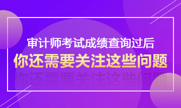 2017年審計(jì)師考試成績(jī)查詢過(guò)后不得不關(guān)注的事情—考后資格審核