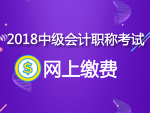 2018年廣西中級(jí)會(huì)計(jì)職稱(chēng)考試網(wǎng)上繳費(fèi)每科56元