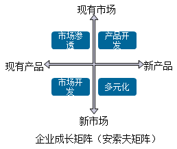 2018高級會(huì)計(jì)師新教材知識點(diǎn)：密集型戰(zhàn)略