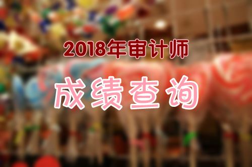 2018年審計(jì)專業(yè)技術(shù)初、中級資格成績什么時(shí)候可以查詢？