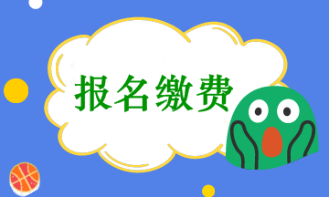 會計(jì)中級考試報(bào)名收費(fèi)是在網(wǎng)上繳費(fèi)嗎？