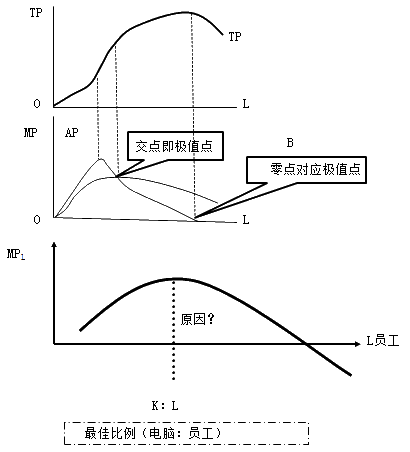 總產(chǎn)量、平均產(chǎn)量和邊際產(chǎn)量曲線