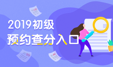 河南2019初級(jí)會(huì)計(jì)考試成績(jī)查詢(xún)時(shí)間及入口