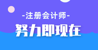 注會綜合階段的考生都是這15個理由的受益人