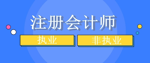 注會(huì)執(zhí)業(yè)與非執(zhí)業(yè)