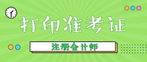 打印準(zhǔn)考證2019cpa