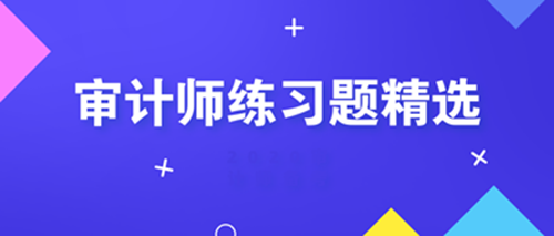 初級審計師練習(xí)題精選