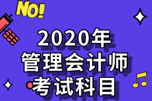 2020年管理會(huì)計(jì)師考試科目