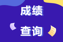 2019年重慶注冊會計師考試成績查詢時間哪天開始？