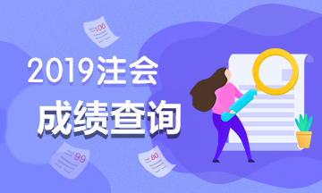 2019注會(huì)成績(jī)查詢(xún)