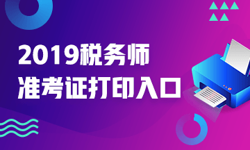 2019年稅務(wù)師準考證打印入口