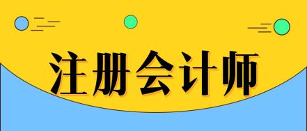 注冊(cè)會(huì)計(jì)師