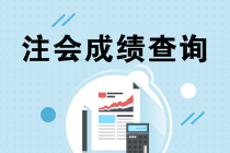 2019年河北廊坊注冊(cè)會(huì)計(jì)師成績(jī)查詢(xún)通道什么時(shí)候開(kāi)通？