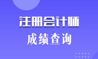 2019陜西銅川注冊會計師成績查詢時間