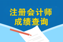 12月能查2019年注會(huì)成績(jī)嗎？