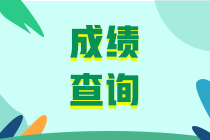 2019初級審計師考試成績查詢