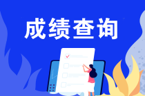 什么條件能申請2019注會成績復(fù)核？