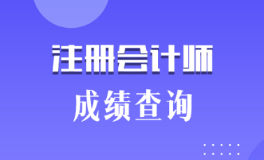 2019海南三亞注會成績什么時候出來？