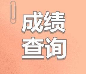 審計(jì)師成績(jī)查詢時(shí)間