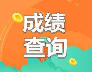 中級審計師成績查詢