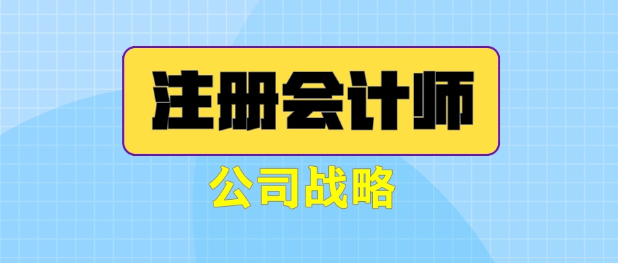 注冊會計(jì)師《公司戰(zhàn)略》練習(xí)題