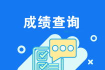 重慶2019年注會(huì)成績查詢時(shí)間