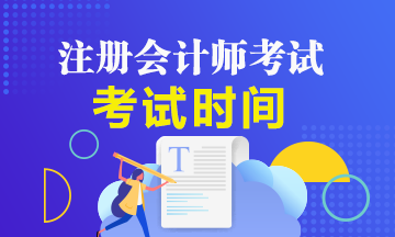 2020年cpa專業(yè)階段考試時間安排公布了嗎？