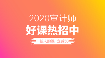 2020審計(jì)師招生文案