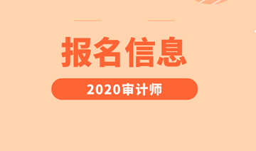 2020中級(jí)審計(jì)師報(bào)名信息